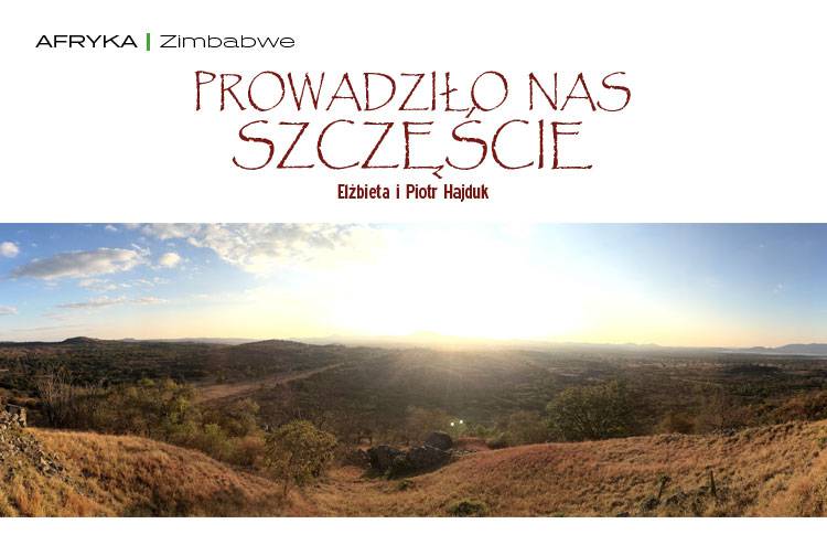 Losowy darmowy artykuł
